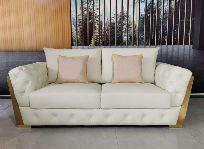 Design Two-seater Lounge Furniture 2 Seater Sofa Couch Upholstery Club Sofas Couches